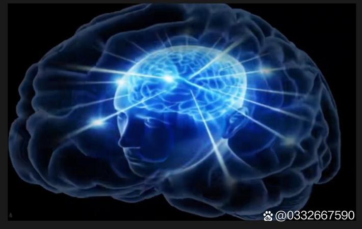 中超联赛焦点战中一名球员进球后滑跪庆祝，膝盖在草皮上留下两道清晰痕迹，队友蜂拥而至